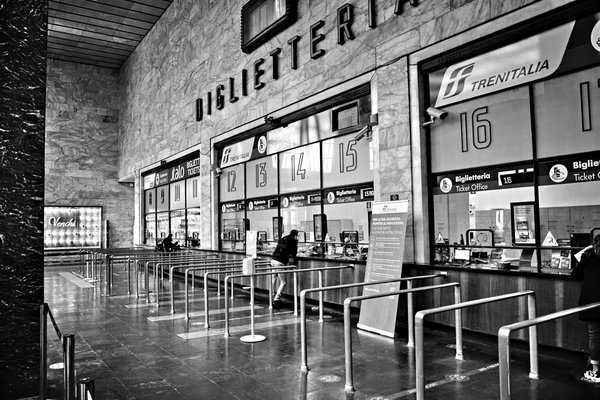 Voyager avec son animal de compagnie : les maisonnettes pet-friendly