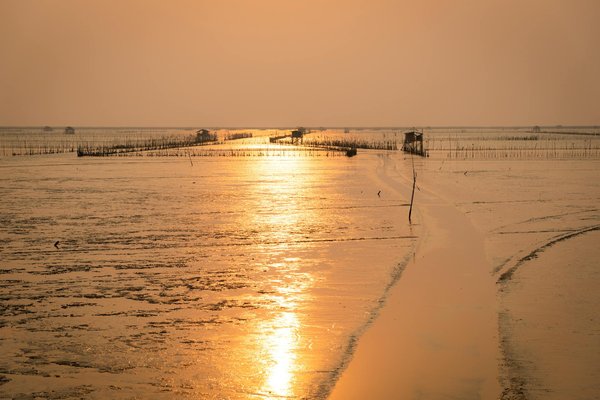 Luxe et détente au château Écrin de lumière en dordogne