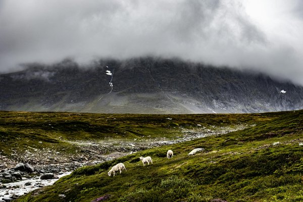 Campings de luxe au bord d'un lac : notre sélection